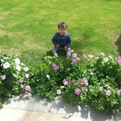 Reem Abdel Salam