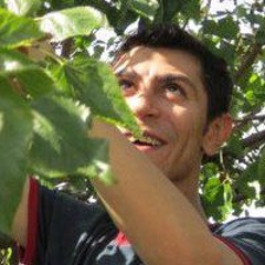 Ahmed Dawod