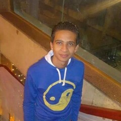 user288832906