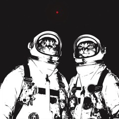 observation satellites