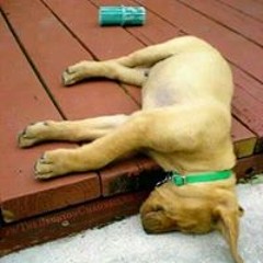 Margie Kreitzer-Osborn