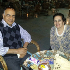 adly shamshon