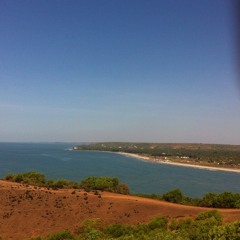 Vasvi Aren
