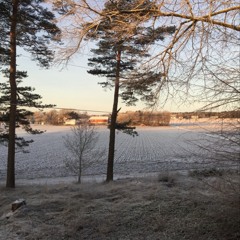 Dag Frode Ek Arnesen