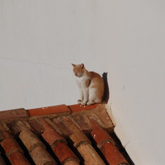 Glasklar