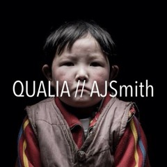 QUALIA // AJSmith
