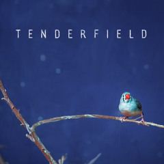 Tenderfield