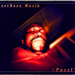 Puzzld-StreetNoxx Muzik