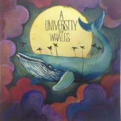 A University of Whales