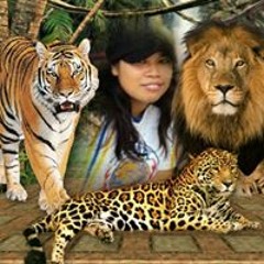 Arema Nda Semrawut