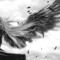 DarkCloud0323
