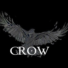 VJ Crow/ Bouts Christophe