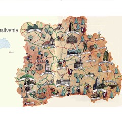 Transilvania Repo