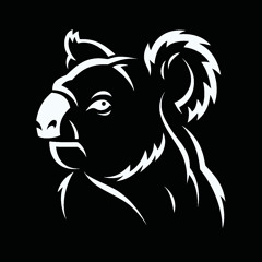 The Koalas !