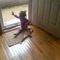 Chaundraia Mccormick