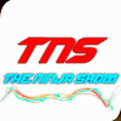 The Ninja Show