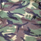 Camo Keever
