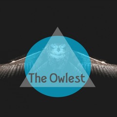 The Owlest