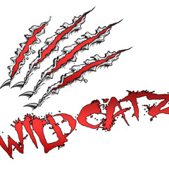 WildCatz