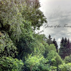Ghosts of the Forest
