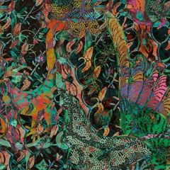 Madison Groove Music