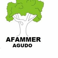 Afammer Agudo