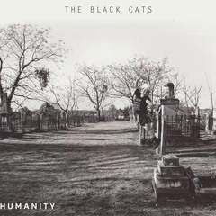 The Black Cats