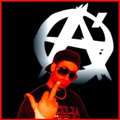 O'ANIMAL DJ