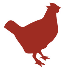 Kung Fu Chicken