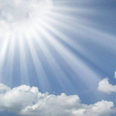 Dezmond D. Singletary Jr.