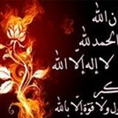 majd1