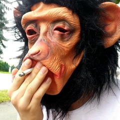 monkey_vibes