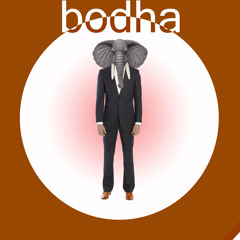 Bodha