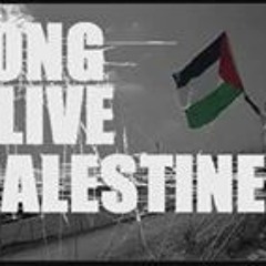 Mohd Amirul Fahmi Ibrahim