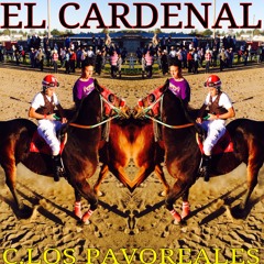 Carreras De Caballos NC