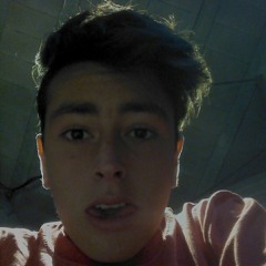 user619330003