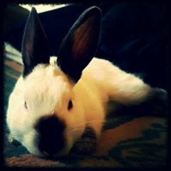 Tanya Cloete Visagie