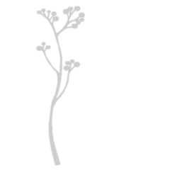 Sensitive Leadership