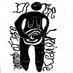 INTHEWOMBOFTHEUNIVERSE