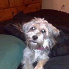 Julie Renee Long-Embree