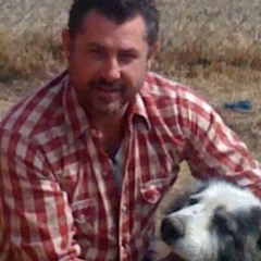 Brin mailer muscular