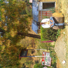 Abhishek Ashish