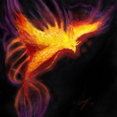 Phoenix Principles