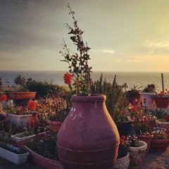 متنوع