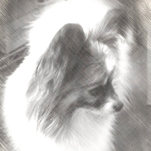 korg gadget remix contest #2