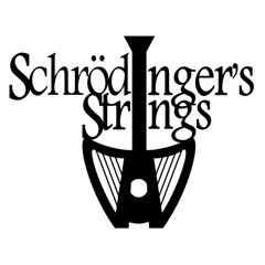 Schrodingers Strings