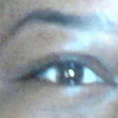 Darlene Mattingly Holland