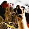 Barking Llamas