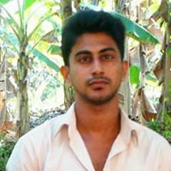 Rins Rajan