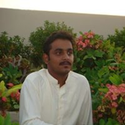 Majid Ali’s avatar